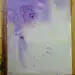 水彩手绘过程