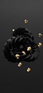 All black but gold on Behance: 