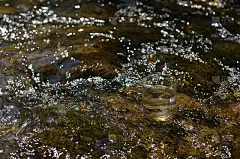 溪水中的一杯水