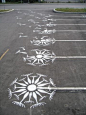 Best Kind of Parkinglot Dandilions: 