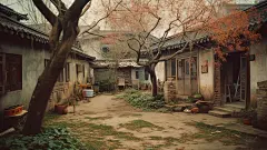 乡村小院图片大全-乡村小院高清好看的图片--花瓣shell00的画板