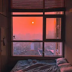 明月装饰了你的窗子