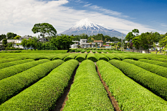 日暮离采集到户外风景