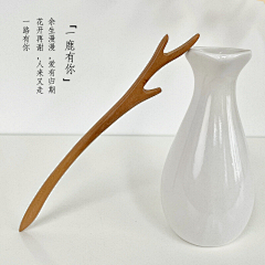 星辉-邵采集到簪子