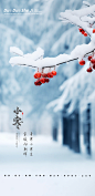 小寒-40