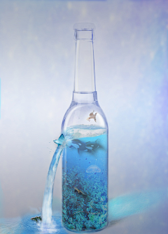 SgVPaW3W采集到海报参考（海洋生物）