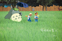 MC嗷嗷嗷采集到重庆垫江县乡村振兴项目