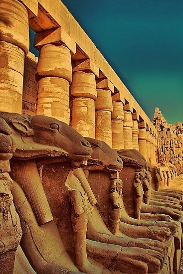 Egypt, Luxor, Karnak...