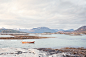 Project Nor Way : Portraits and landscapes telling a story of Northern Norway and Norwegian way of life in connection with nature.