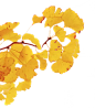 webp~10