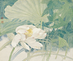 Z珂采集到画中