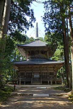 童僌采集到移步一景