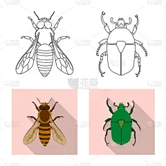 昆虫,品牌名称,绿色,图像,矢量,飞,收集,教育,授粉,写实