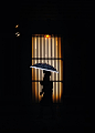 光与影的街头
摄影师Takashi Yasui ​​​