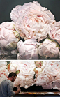 WOW! These are incredible! I wish I could have them hanging on the wall in my home. - The House That Lars Built.: Oversized flower paintings