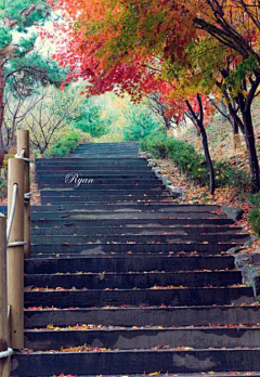 山海嘟嘟嘟采集到风景