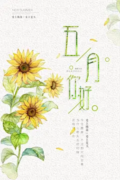 向日葵五月你好海报