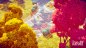 The Illustrated Nature, Dragos Matkovski : The Illustrated Nature is a 3D environment made out of stylized vegetation models, shaders, image effects and scripts, created for those who want to tell a story in a colorful and painterly world.

Available on U