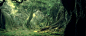 魔幻森林背景密林神秘绿色自然
@ABC输入法