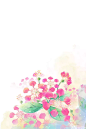 粉色唯美浪漫水彩紫薇花插画，搭配白色背景图片