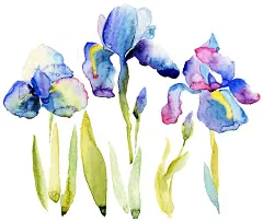 位图 jpg 花卉 兰花 花枝 水彩 数码印花 家纺 局部图案