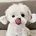 rainiewuu