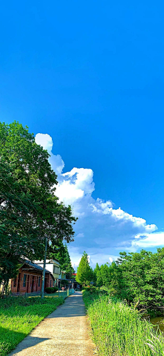 喵与花采集到风景