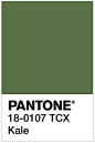 颜色潮流的权威Pantone公布2017春夏9大流行色。 ​​​​