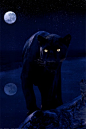Panther and Moon | *I. Fantasy, Characters and Inspiration