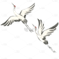 中国风手绘仙鹤元素