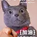 手势表情包萌宠晒照时尚风plog模板