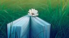 6188精选唯美lomo图片桌面壁纸桌面壁纸2