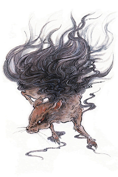 山海经异兽录-花瓣网|陪你做生活的设计师 | 山海经妖兽