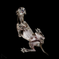 #作品欣赏# Under-Dogs.
By​ Andrius Burba O网页链接 ​​​​