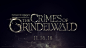 Fantastic Beasts: The Crimes of Grindelwald on Behance