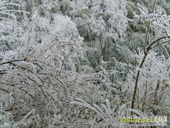 Myshun采集到宾馆,春节武功山莽山丹