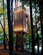 D2 Magazine  Treehouses    Grandchildren Treehouse   Lake Muskoka, Ontario   Photo by Mark Mahaney: 