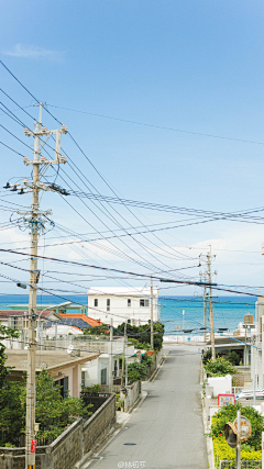 百变鑫君’采集到城市风景