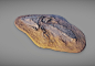 古生物化石 鱼类 - 动物模型 蛮蜗网