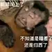 采集图片