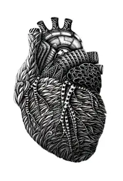 【拉脱维亚图形设计师、插画师Alex Konahin 绘制的黑白手绘插图】