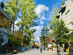 安安安安安暖采集到惠斯勒Whistler