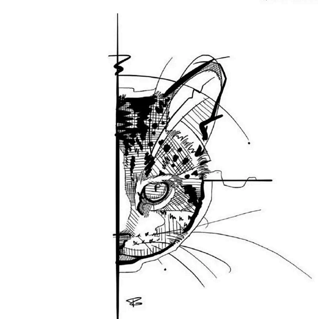 个性的动物猫纹身手稿图
