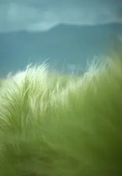 壁纸