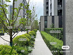 莱蔓蔓采集到阵列