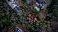 Tree, drone view, aerial view, forest and rooftop HD photo by Nathan Anderson (@nathananderson) on Unsplash : Download this photo in Birmingham, United States by Nathan Anderson (@nathananderson)