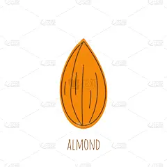 杏仁,图标,坚果,素食,清新,食品,植物,分离着色,有机食品,自然