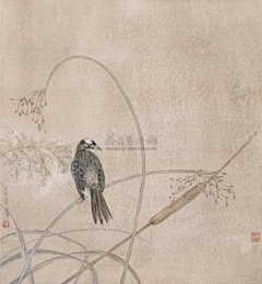 GARIIIII采集到江宏伟