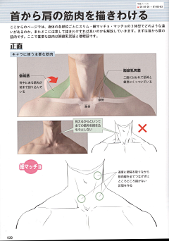 皮皮酱_biu采集到人物设定