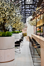 19 Photos of Ovolo, Sydney's newest hotel